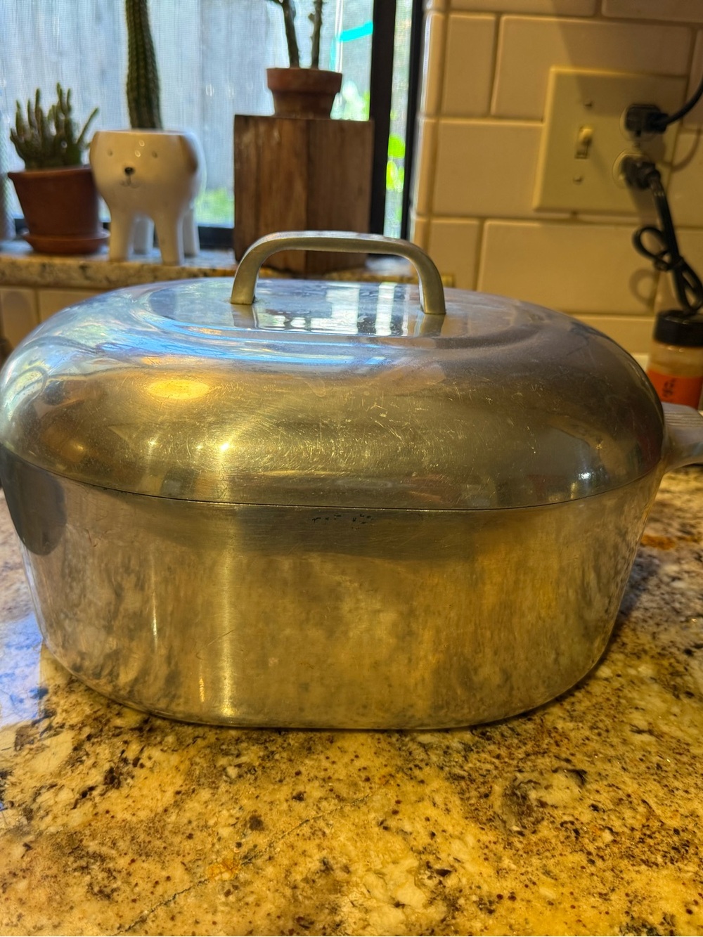Magnelite 8 quart roaster Classic Stainless Steel Roaster with Lid - Silver 4265